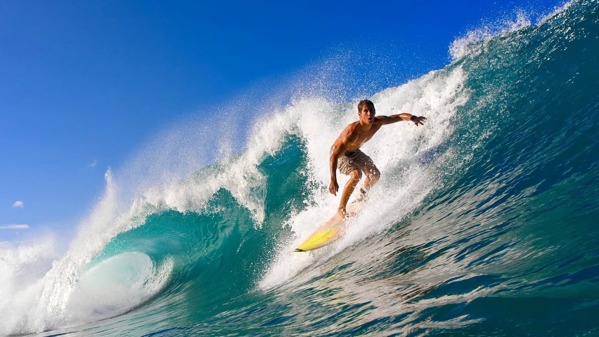 爱游戏官网-【Juan Soto的全垒打表演】教士锋线新兵天赋异禀，全垒打术语